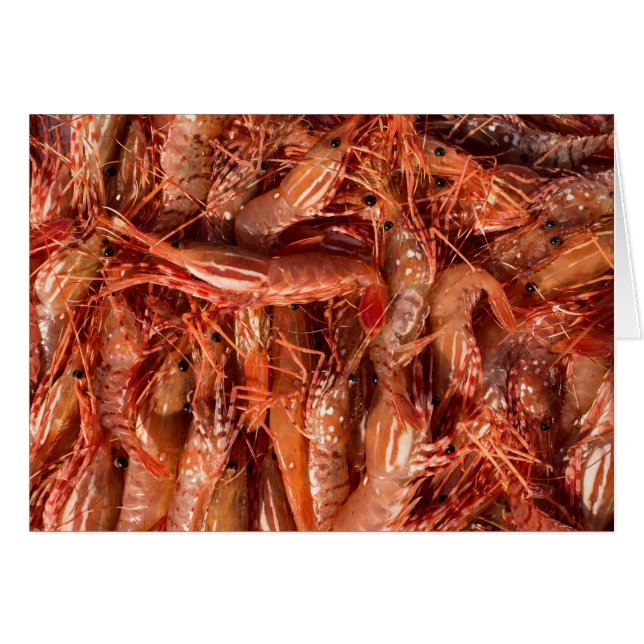 Delicious Prawns (Front Horizontal)