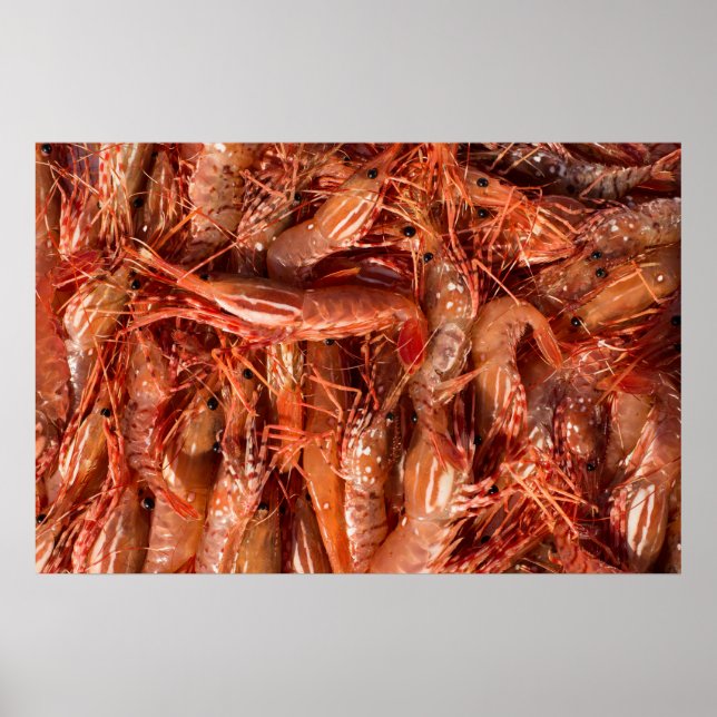 Delicious Prawns Poster (Front)