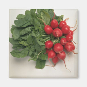Delicious Radishes Magnet