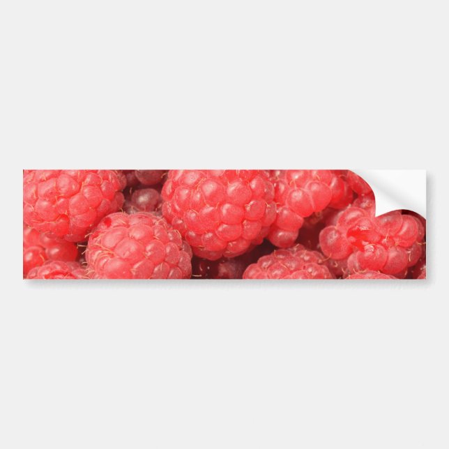 Delicious raspberries food pattern bumper sticker (Front)