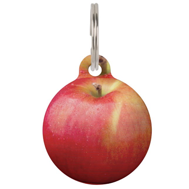 DELICIOUS RED APPLE PET TAG (Front)