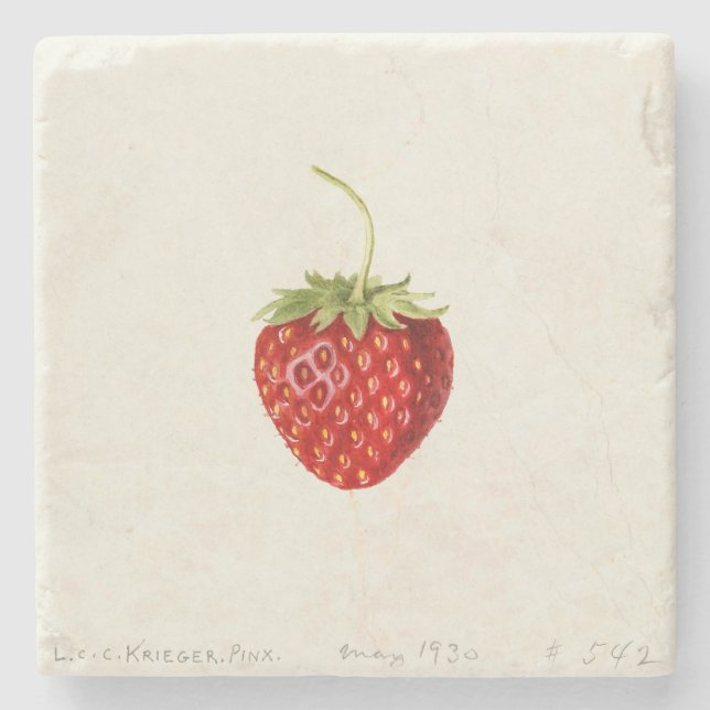 Delicious Red Strawberry (by Louis C.C. Krieger)  Stone Coaster (Front)