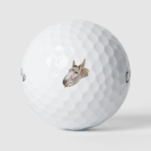 Delighted Donkey Eating A Carrot, Golf Balls