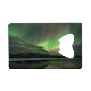 Delightful Aurora