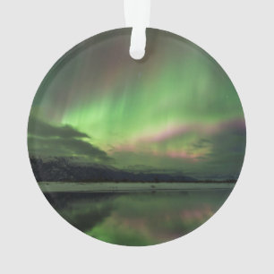 Delightful Aurora Ornament