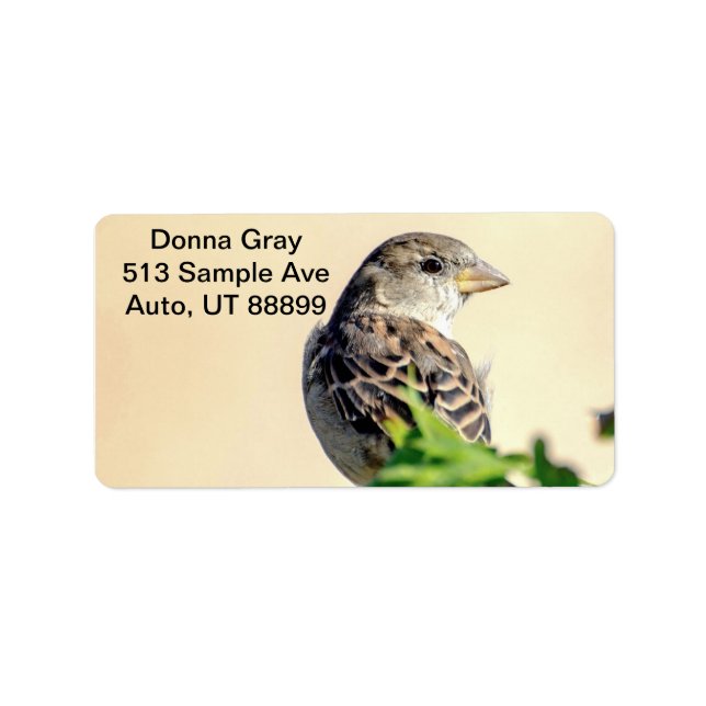 Delightful Bird Address Labels (Front)