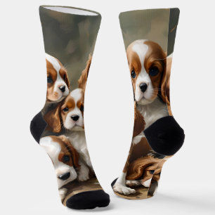 Delightful Brood Of Cavalier Spaniel Puppies, Socks