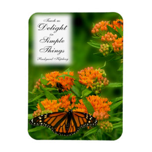 Delightful Butterfly Magnet