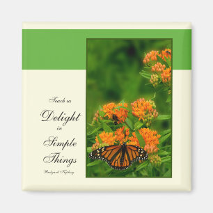 Delightful Butterfly Magnet
