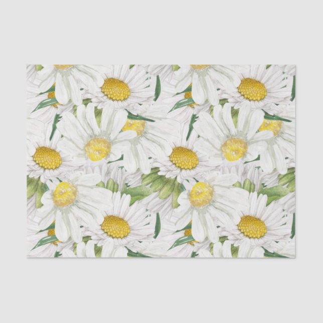 Delightful Daisies Floral Pattern  Tissue Paper (Front)