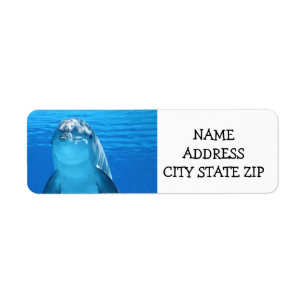 **DELIGHTFUL DOLPHIN** ADDRESS LABELS