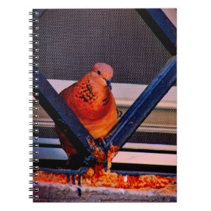 Delightful Dove Notebook