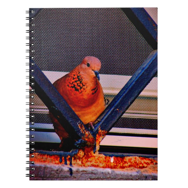 Delightful Dove Notebook (Front)