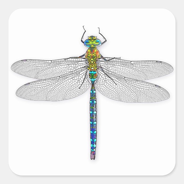 Delightful Dragonfly Square Sticker (Front)