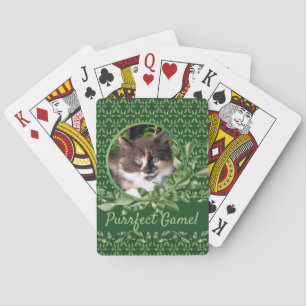 Delightful Green Eyed Calico Kitten Playing Cards