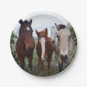 Delightful Horse Troubles, Paper Plates