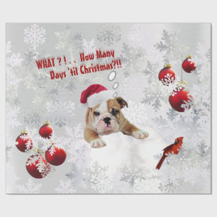 Delightful Sad Bulldog Puppy Christmas Gift Wrap