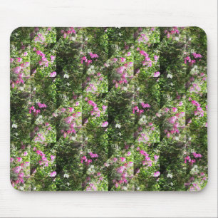 Delightful Sweetpeas.... Mouse Pad
