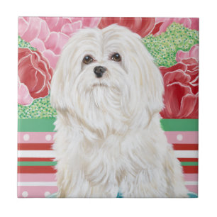 Della Rose Maltese Ceramic Tile