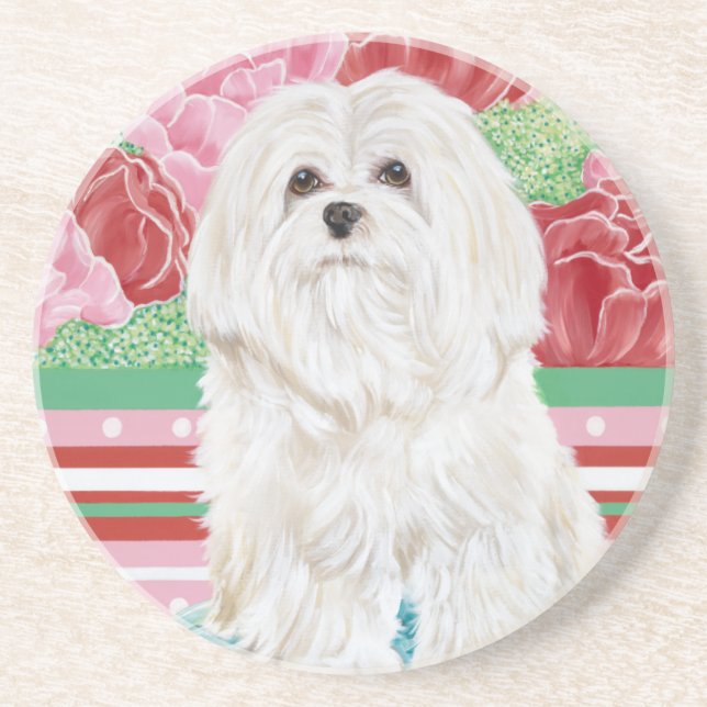 Della Rose Maltese Coaster (Front)