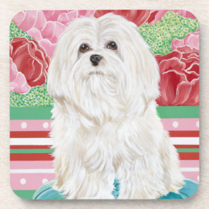 Della Rose Maltese Coaster