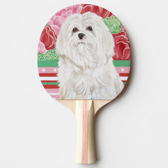 Della Rose Maltese Ping Pong Paddle (Front)