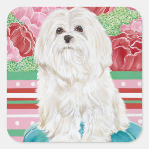Della Rose Maltese Square Sticker