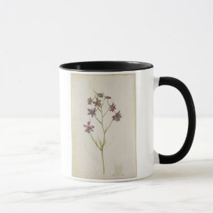 Delphinium ajacis, c.1568 mug