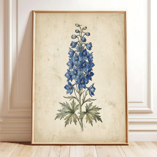 Delphinium Floral Antique Wall Art Print