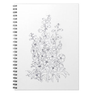 delphinium larkspur flower drawing notebook