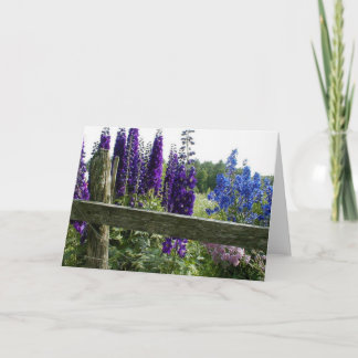 Delphiniums Card