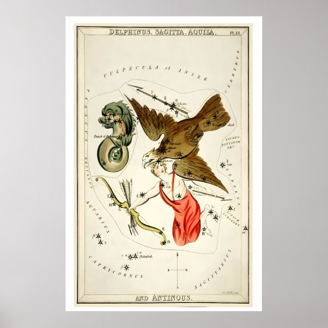 Delphinus Constellation Fine Art Print Antique (Front)