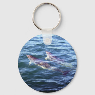 Delphinus delphis key ring