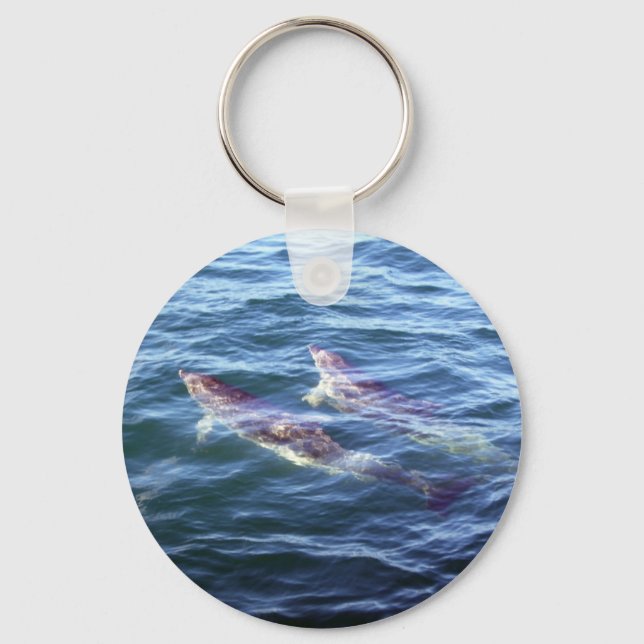 Delphinus delphis key ring (Front)