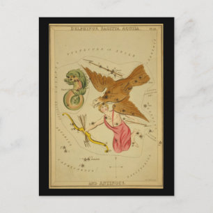 Delphinus, Sagitta, Aquila, and Antinous Postcard
