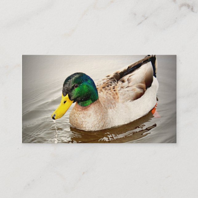 Delta Preserve Business Card (Front)