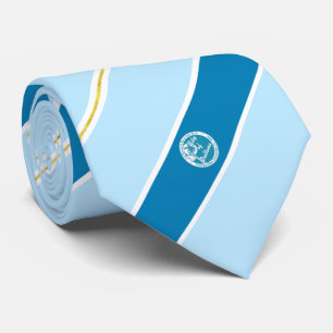 Deltona (Florida) city flag Neck Tie