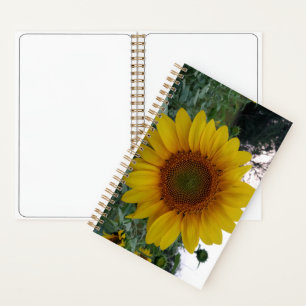 Deluxe Spiral Notebook 5.5x8.5 with Sunflower Art