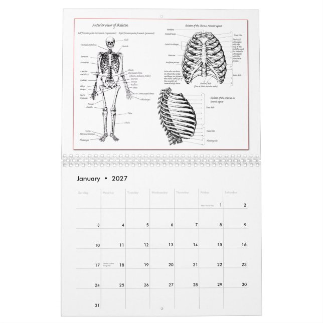 Dem Bones Calendar (Jan 2027)