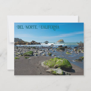 DeMartin Beach Del Norte California Postcard