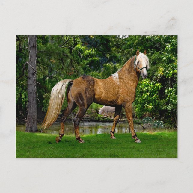 "Demelza" Postcard (Front)