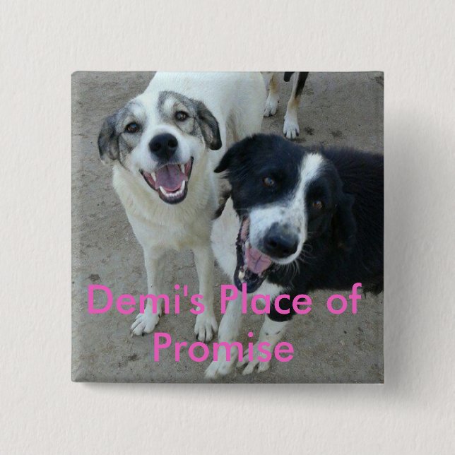Demi 15 Cm Square Badge (Front)