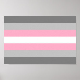 Demigirl Pride Poster