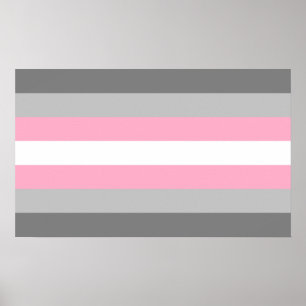 Demigirl Pride Poster