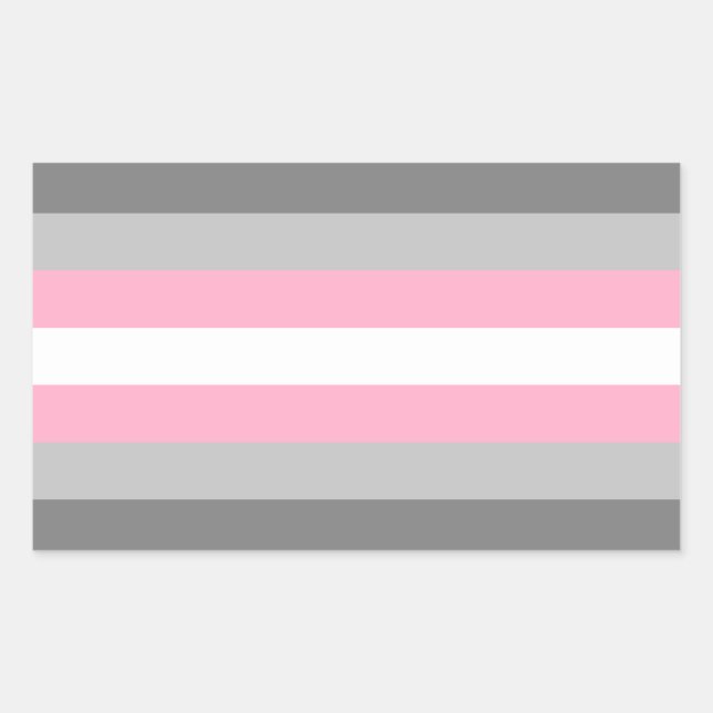 Demigirl Pride Rectangle Sticker (Front)