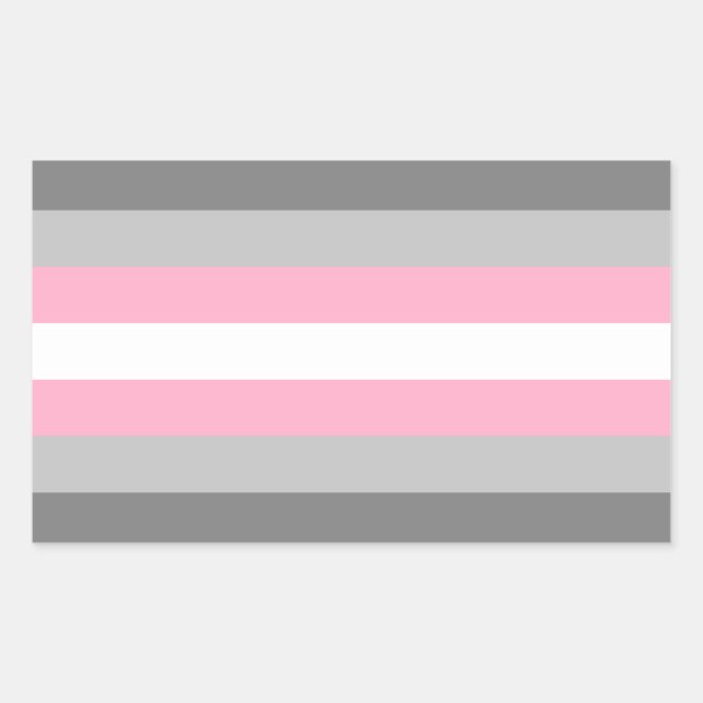 Demigirl Pride Rectangular Sticker (Front)