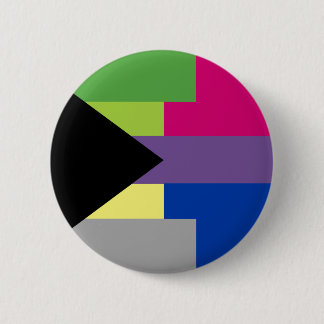 Demiromantic Bisexual Pin