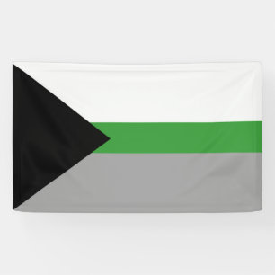 Demiromantic Pride Banner