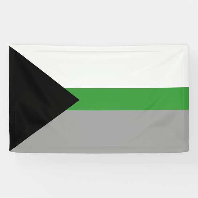 Demiromantic Pride Banner (Horizontal)