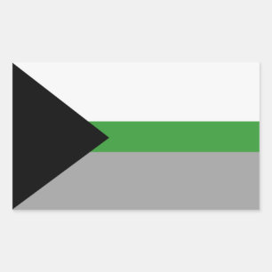Demiromantic Pride Rectangular Sticker